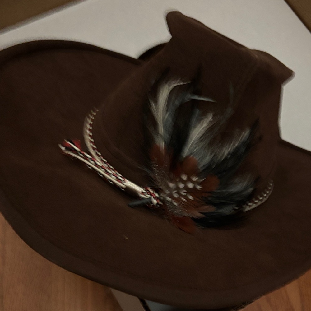 Men's Brown Cowboy Hat with Feather Detail